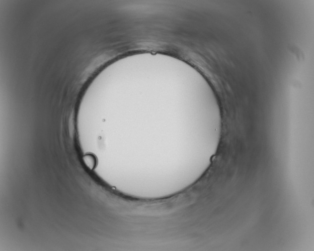 X0000113910011200910151428