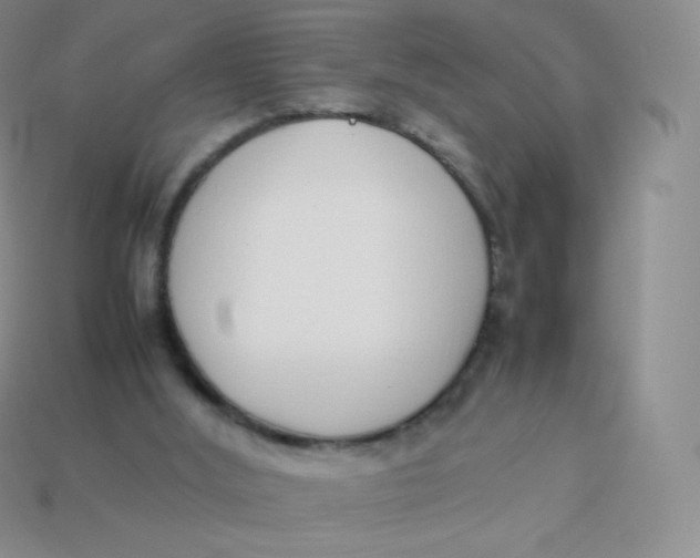 X0000113910012200910151428