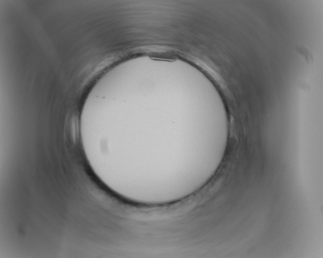 X0000113910013200910151428