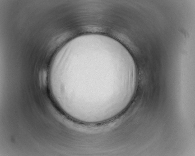 X0000113910014200910151428