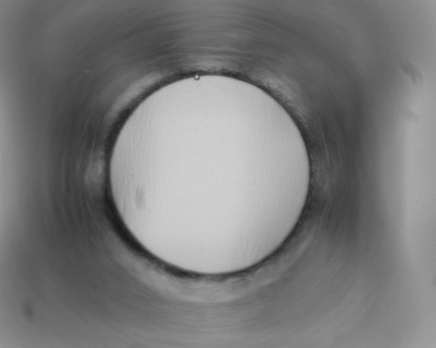 X0000113910016200910151427