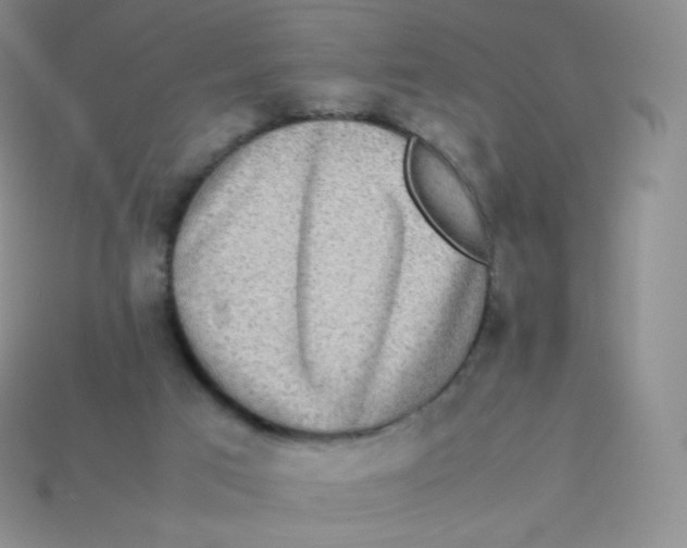 X0000113910017200910151427