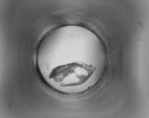 X0000113910019200910151427