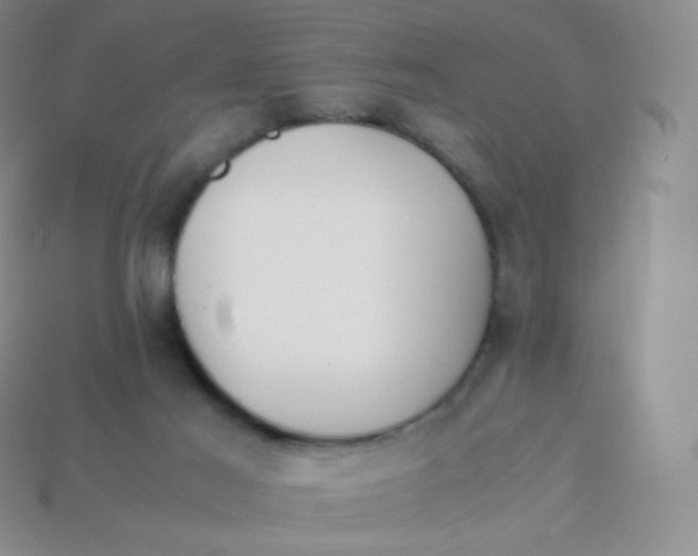 X0000113910021200910151427