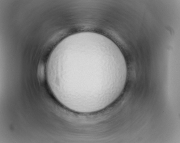 X0000113910022200910151427