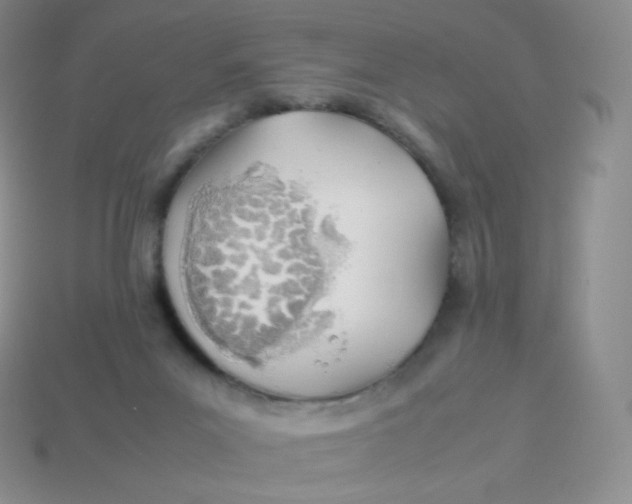 X0000113910023200910151427