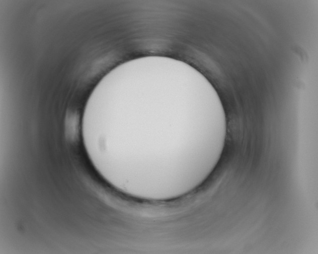 X0000113910024200910151427