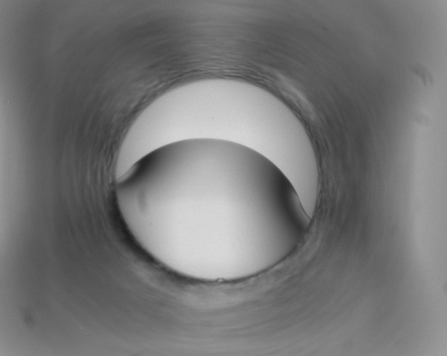 X0000113910025200910151427