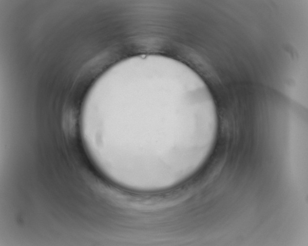 X0000113910026200910151427