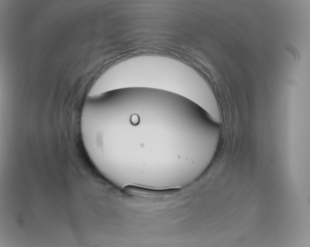 X0000113910029200910151427