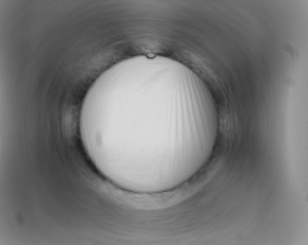 X0000113910030200910151427