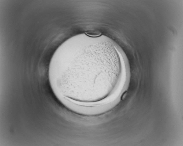 X0000113910031200910151427