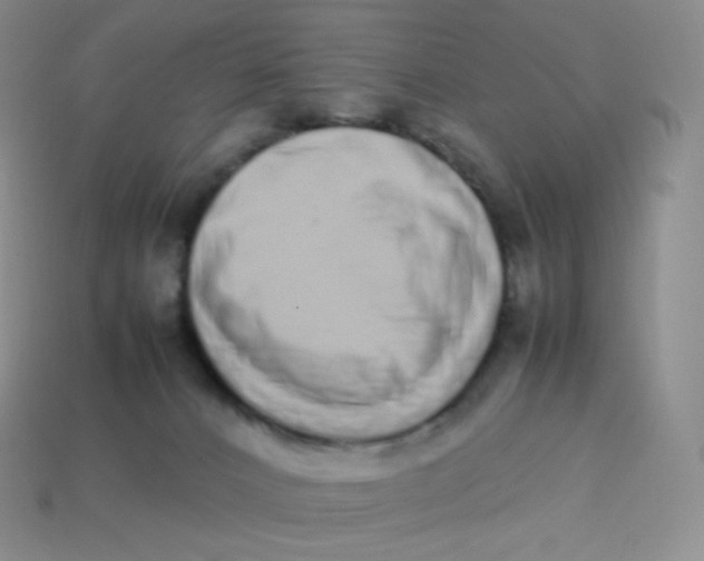 X0000113910032200910151427