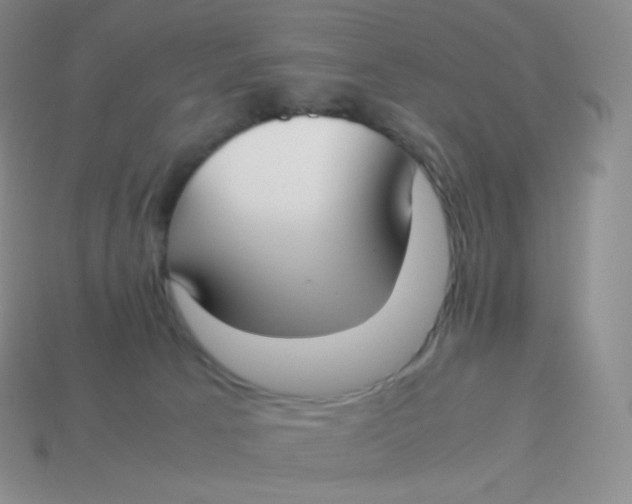 X0000113910033200910151427