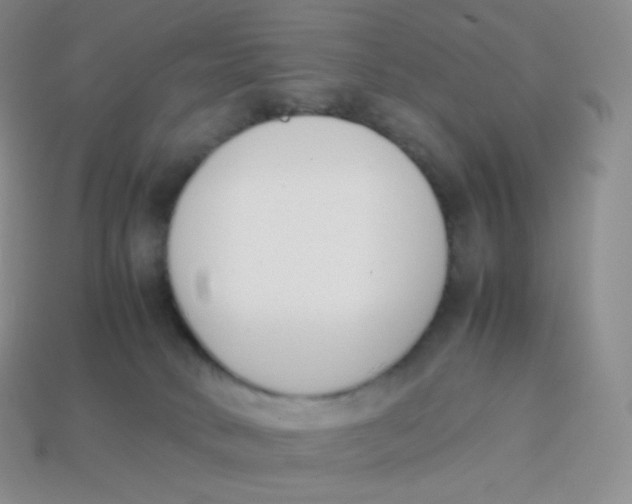 X0000113910034200910151427