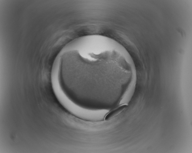 X0000113910035200910151427