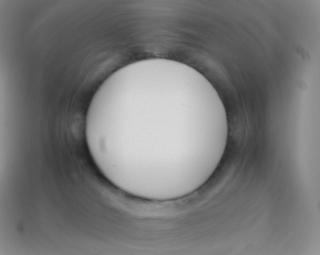 X0000113910036200910151427