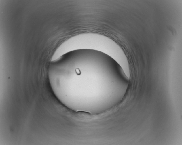 X0000113910037200910151427