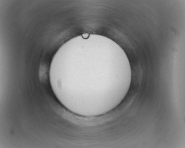 X0000113910038200910151427