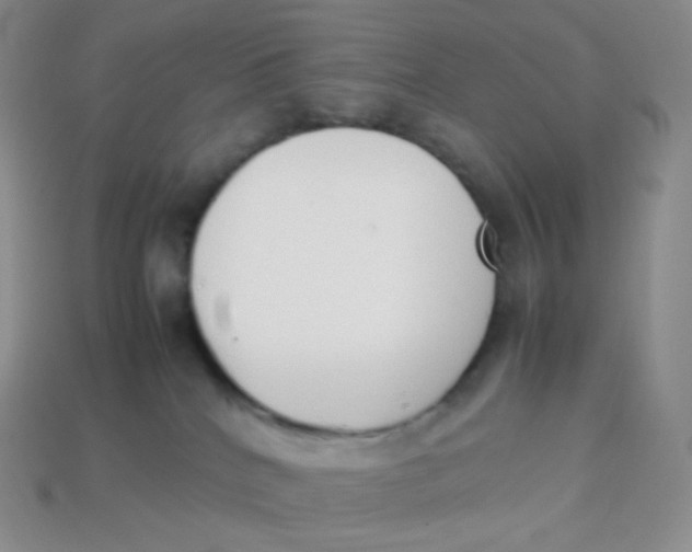 X0000113910040200910151427