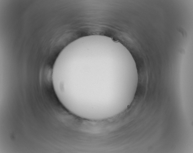 X0000113910041200910151427