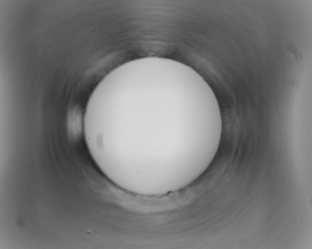 X0000113910042200910151427