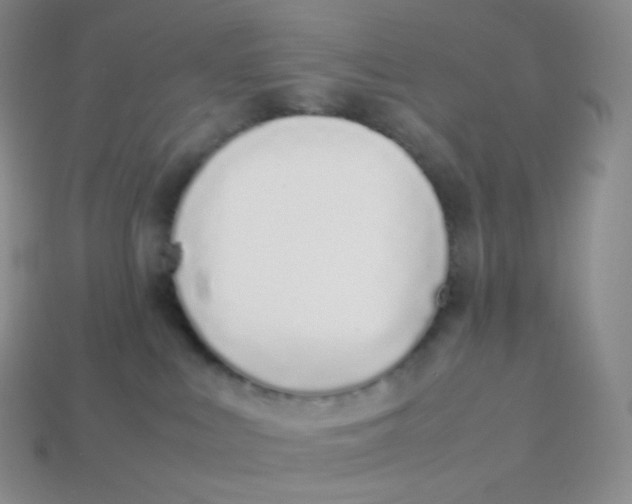 X0000113910043200910151427