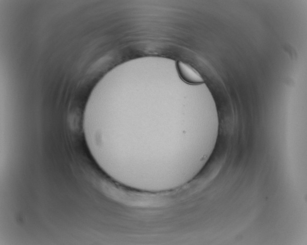 X0000113910044200910151427