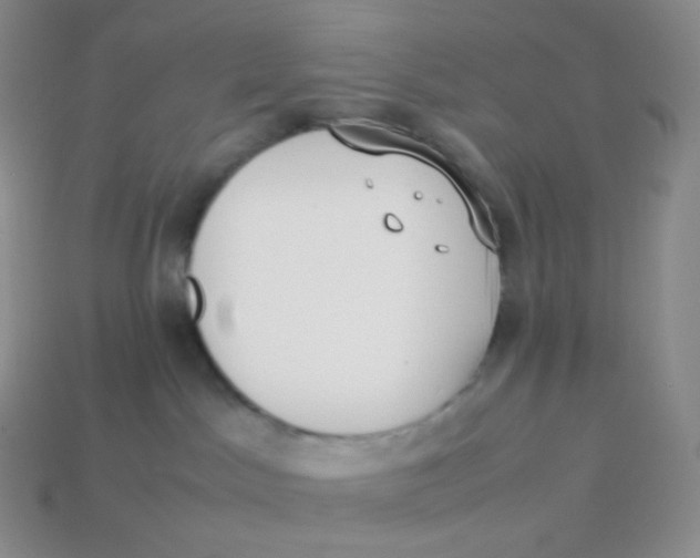 X0000113910045200910151427