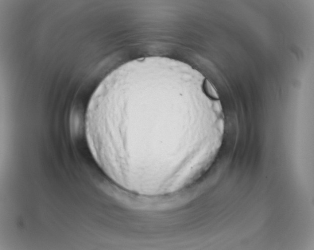 X0000113910046200910151427