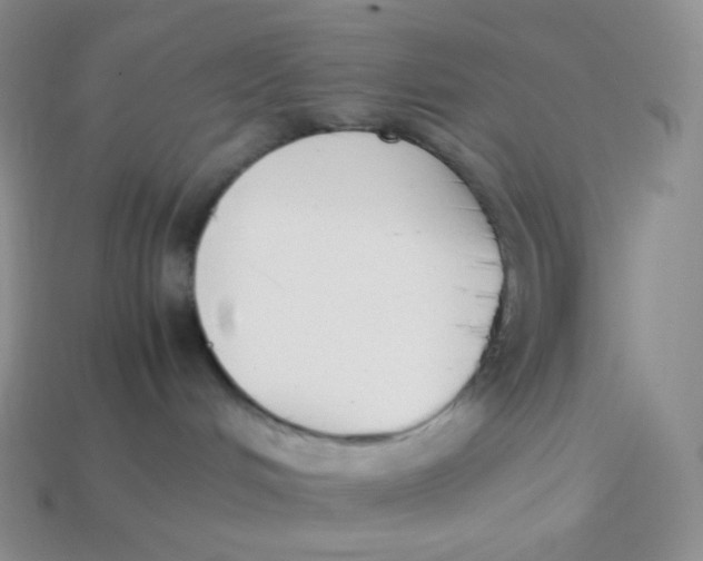 X0000113910048200910151427