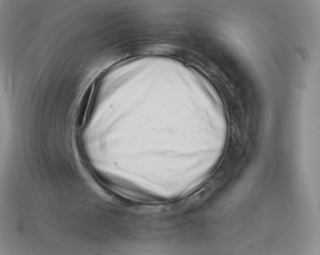 X0000113910049200910151426