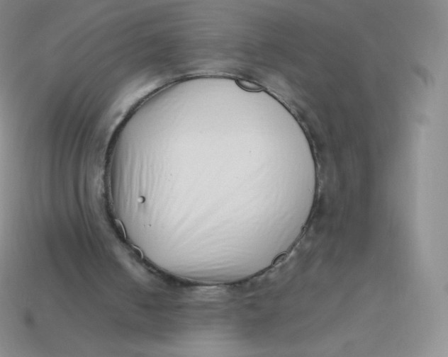 X0000113910050200910151426