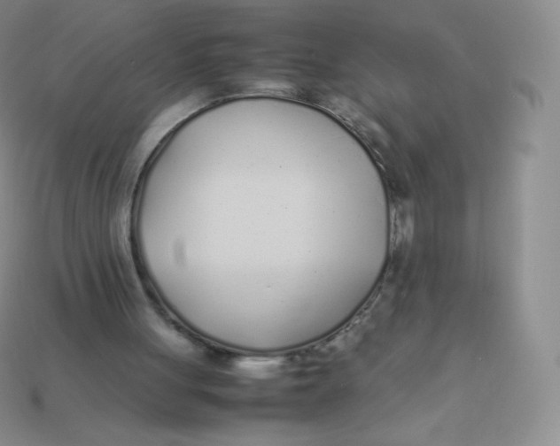 X0000113910051200910151426