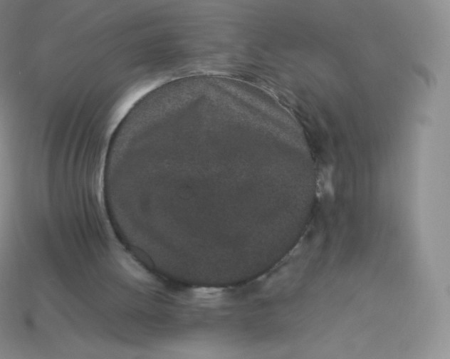 X0000113910052200910151426