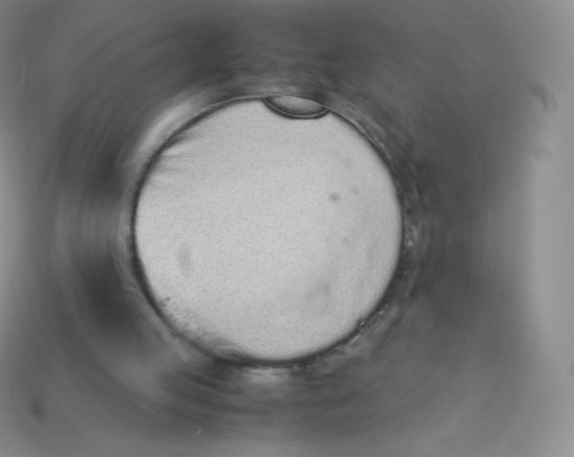 X0000113910053200910151426