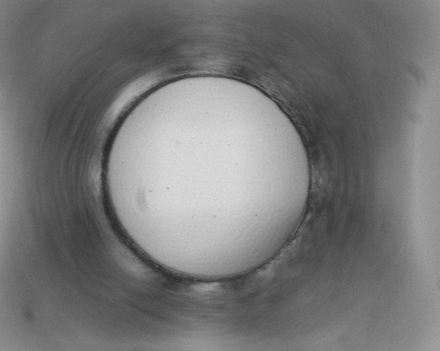 X0000113910054200910151426