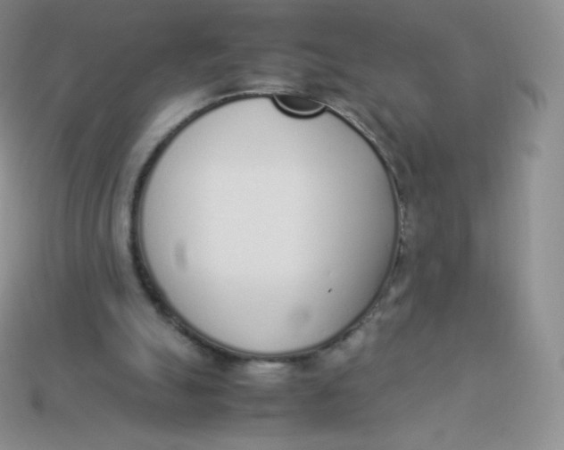 X0000113910055200910151426