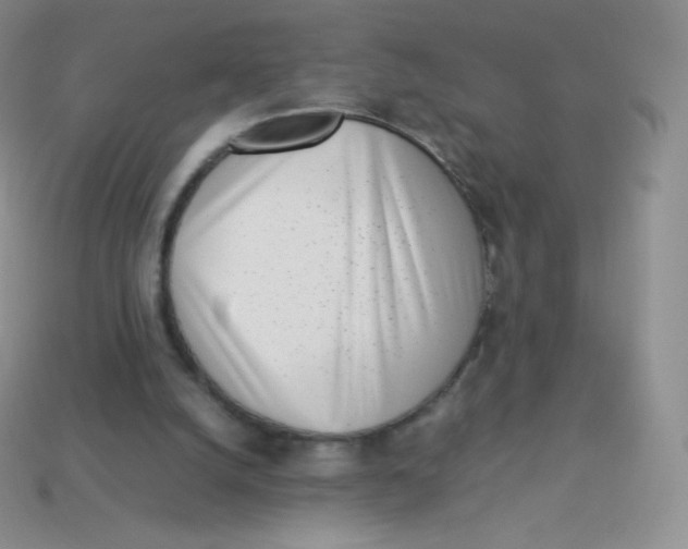 X0000113910056200910151426