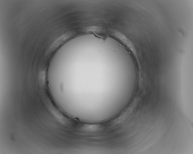 X0000113910057200910151426