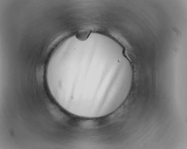 X0000113910058200910151426