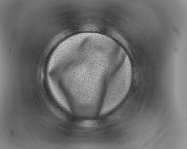 X0000113910059200910151426