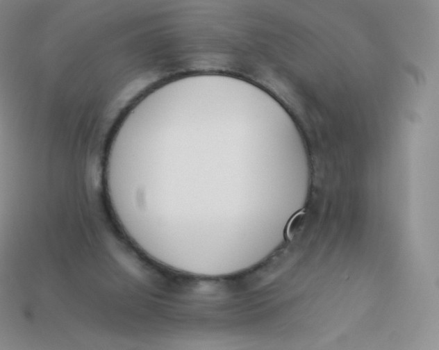 X0000113910060200910151426