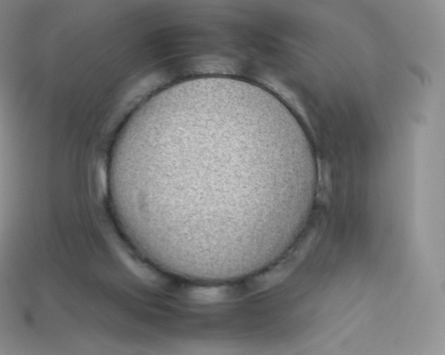 X0000113910061200910151426