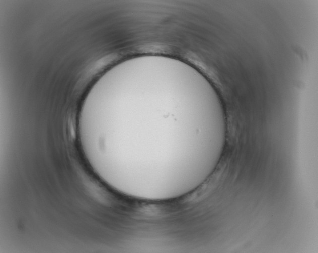 X0000113910062200910151426