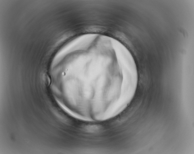 X0000113910063200910151426