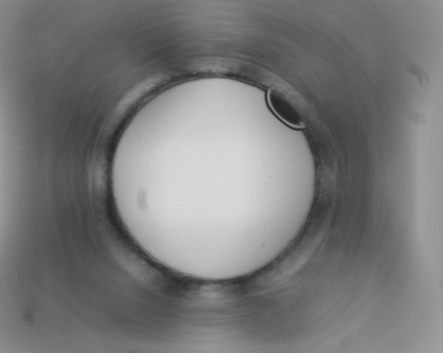 X0000113910064200910151426