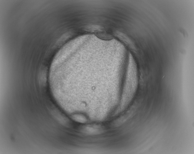 X0000113910065200910151426