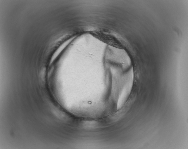 X0000113910066200910151426