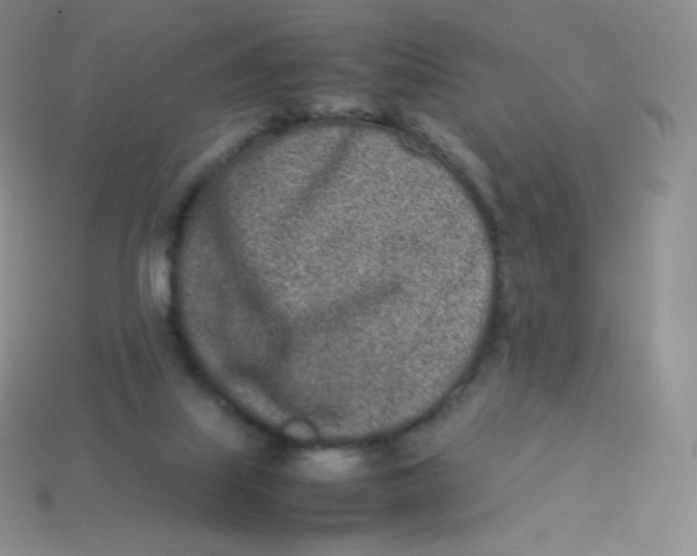 X0000113910067200910151426